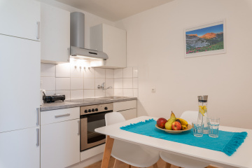 Living Area / Kitchen