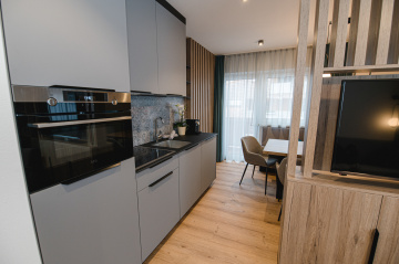 Living Area / Kitchen